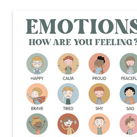 12Pcs Children Emotional Posters Set Mood Charts Emotions Poster for Kids Calm Down Corner Supplies for Preschool School