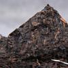 Yunnan Puer Reifer Teeziegel Alte Baumfermentierter Gesundes Getränk