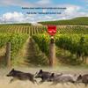 Solar Animal Repellent: Light, Sound, and Timer Alarm for Protecting Rice Fields and Orchards