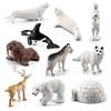 10 Pcs Arctic Animals Figurines Simulation Miniture Animals Models Kit Children Early Learning Tools