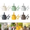 1 Gallon Watering Can for Indoor Plants, Portable, Convenient, Thick, Versatile, with Sprinkler Head