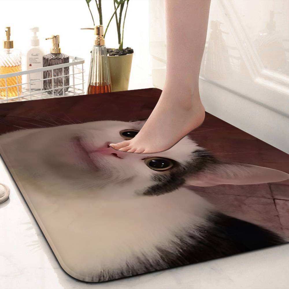 Funny CAT Meme Bathroom Mat Kids Room Bedroom Decoration Balcony Anti Slip Doormat Living Room Welcome Rug