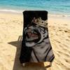 Animal Cool Diamond Towel For Outdoor Camping Beach Towel Super Absorbent Quick-Drying Summer Towel