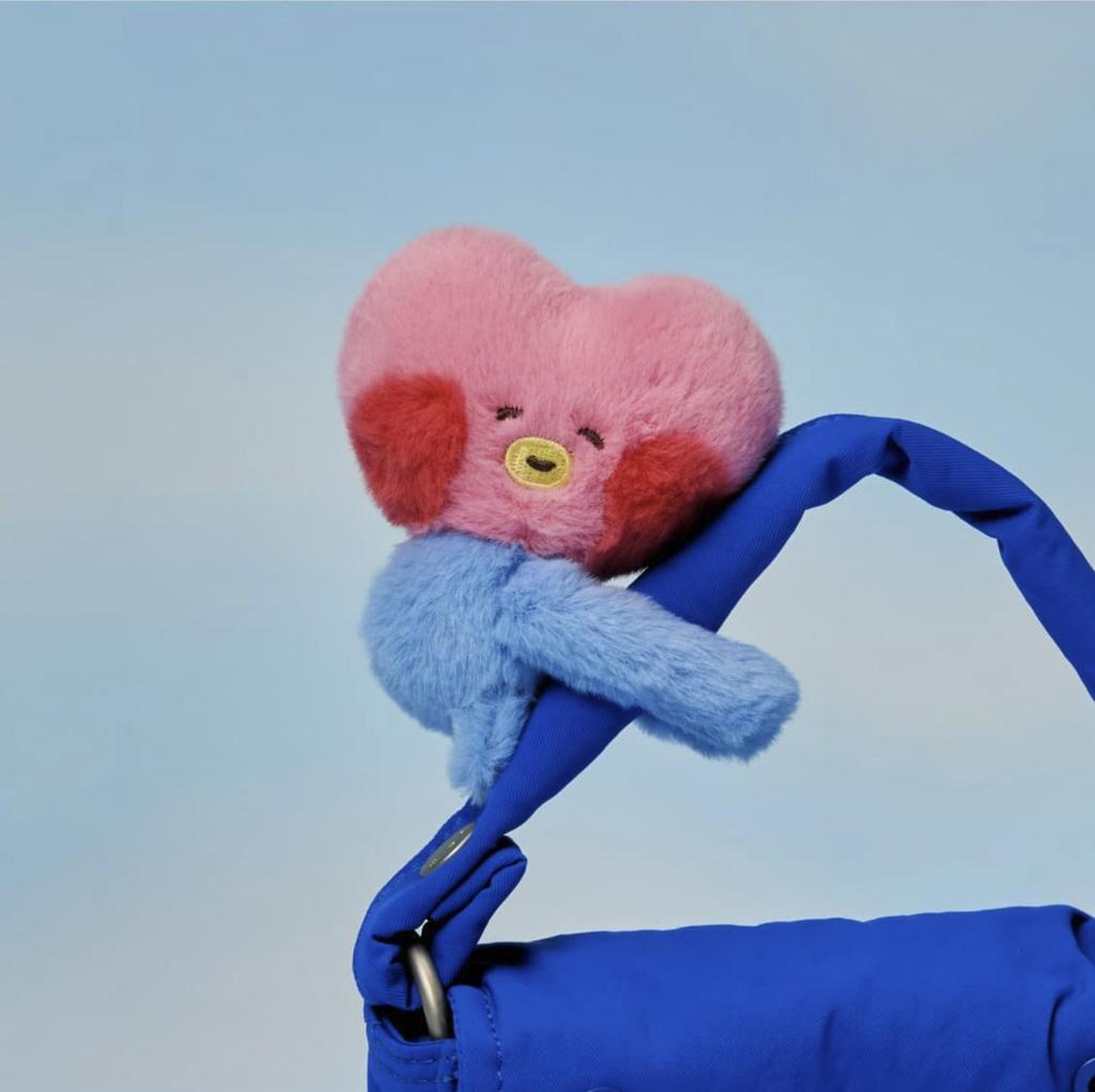 BT21 Mini HugMe Magnet Doll Keyring