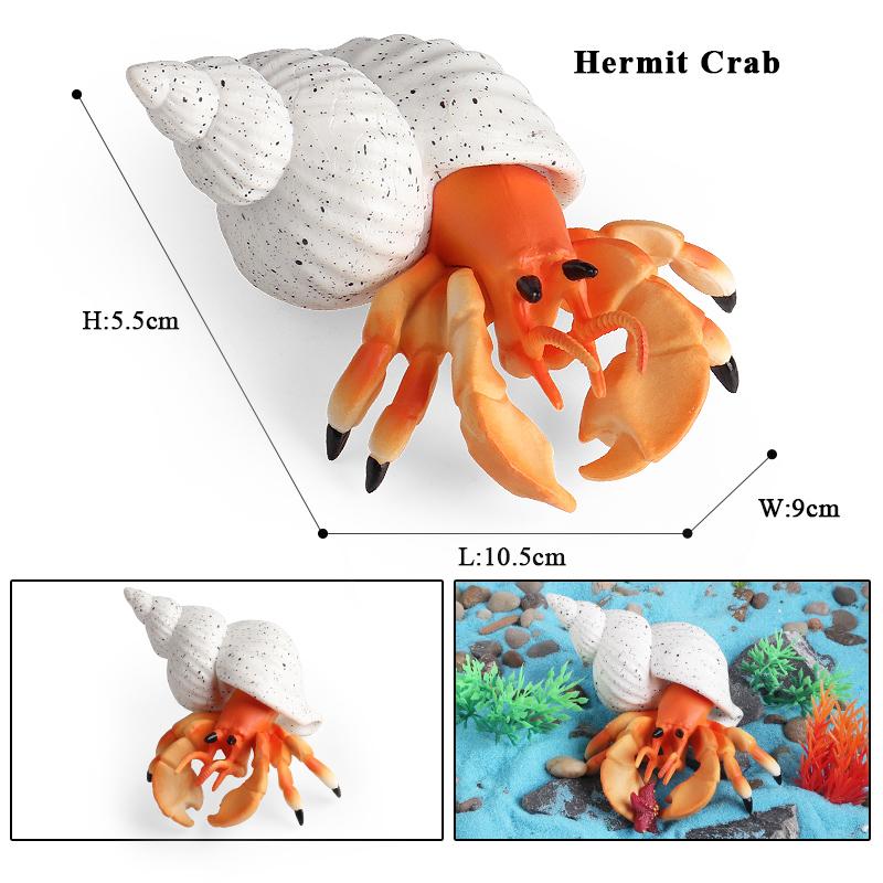 Oenux Ocean Animals Simulation Hermit Crab Nautiloidea Octopus Sea Life Model Figurines Action Figures Collection Kids Toy Gift