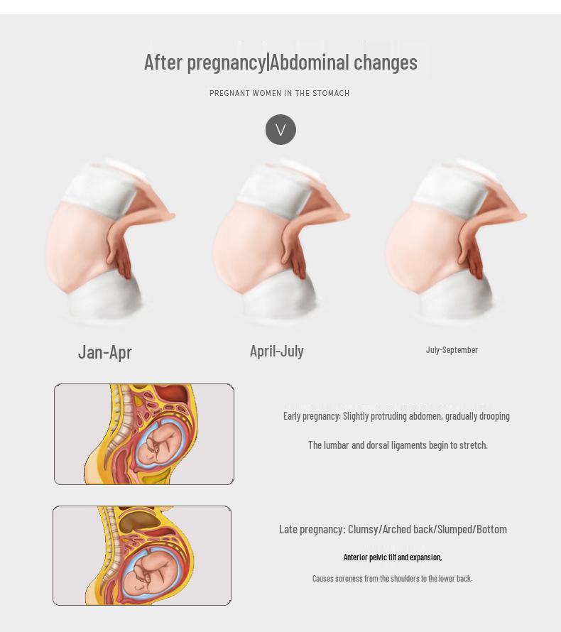 Prenatal Adjustable Lumbar Support Belt - Breathable Belly Support for Pregnant Women