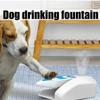 Easy Activated Dogs Water Fountain Toy | No-Electricity, Paw Press Design