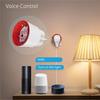 Tuya Wifi Smart EU Plug 16A With Power Monitoring Function Wireless App Voice Remote Control For Alexa Google Home B