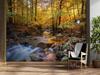 Wallpaper Forest River Landscape