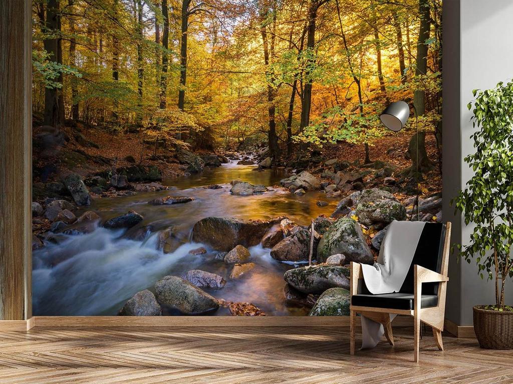 Wallpaper Forest River Landscape