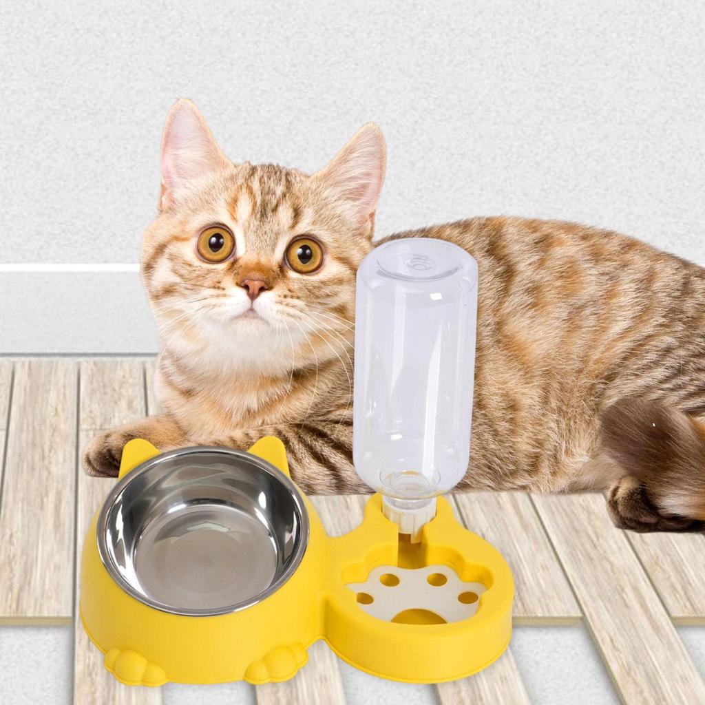 Tilted Cat Bowl with Automatic Water Bottle, Unique Dog Bowl with Automatic