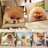 Pomeranian Dog Pillow Case Fashion Square Pillowcase Bedroom Sofa Room Ins Decoration Leisure