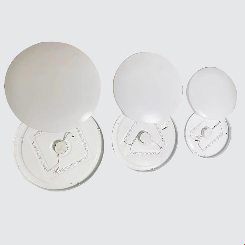 Li Shen LED Ceiling Light