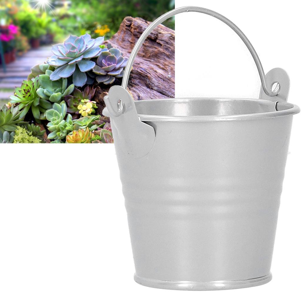 10PCS Flower Pot Mini Succulent Plant Pot Small Metal Bucket for Indoor Outdoor DecorSilver 4x5.5x6cm