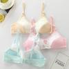 Teen Girls' Training Bra: Ages 12-16.