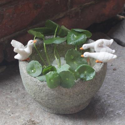 1 Stück Kreativer Kupfermünzen-Gras Hydroponischer Blumentopf Utensilien Sukkulente Pflanzen Topfpflanzen Niedliche Kleine Tiere Ente Aquarium Landschaftsgestaltungsornament