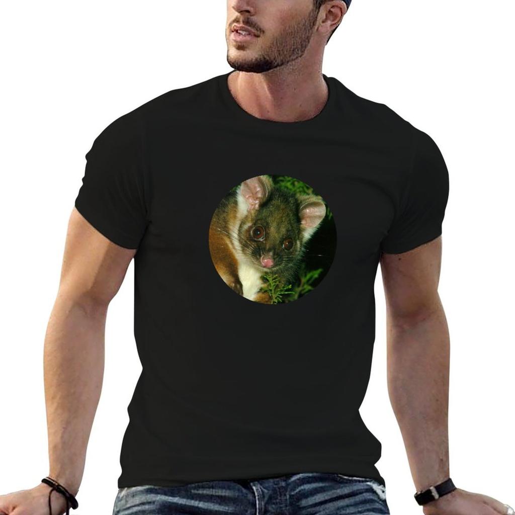 Ringtail Possum portrait T-Shirt t shirt personalised man t shirt summer T-Shirt
