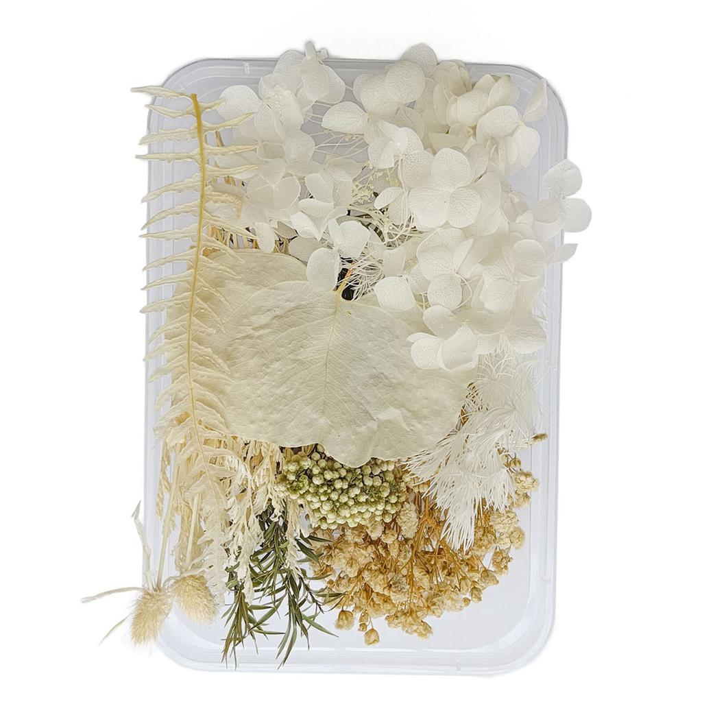 Getrocknete Blumen, exquisite, schöne, umweltfreundliche, farbige Trockenblumen für die Heimdekoration