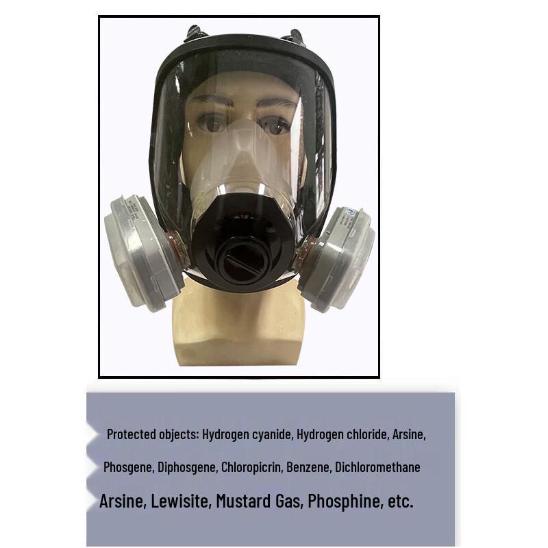 Dragon Mask Industrial Full Face Respirator
