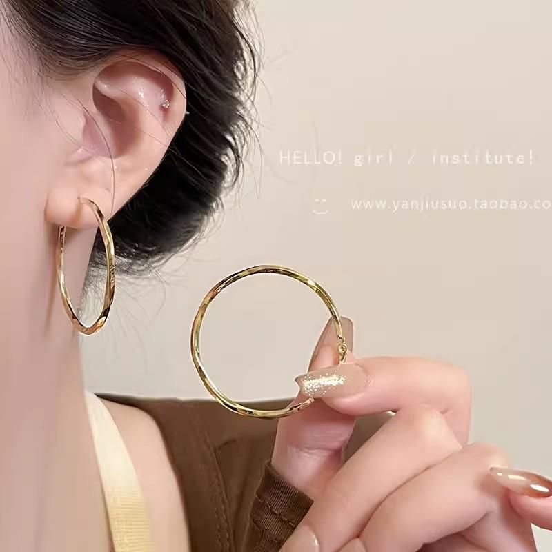 S925 Sterling Silver Simple Women s Hoop Earrings - Light Luxury, Niche Design, Elegant Ear Accessories