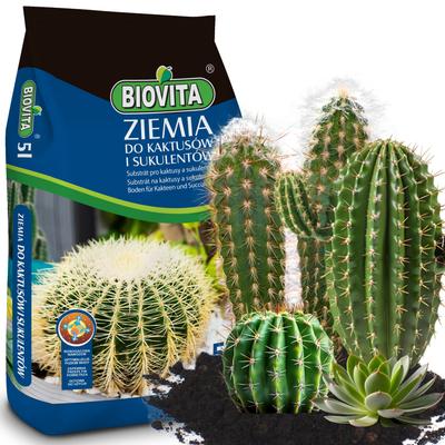 Soil Substrate For Cacti And Succulents Aloe Permeable 5L