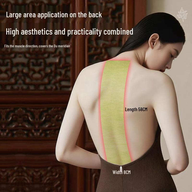 Plaster moksibustyjny z kości smoka do łagodzenia bólu szyi, lędźwi i całego ciała