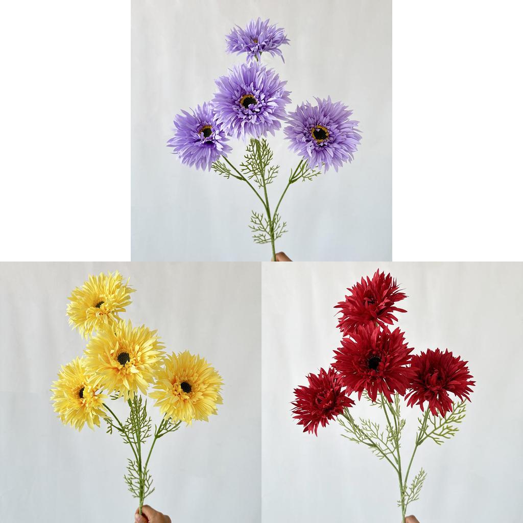 African Gerbera Jamesonii Bolus Wedding Decor For Home And Event Use