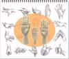 Wooden Drawing Hand Model Mannequin with Reference Drawing Cutouts (Children's Hands)
