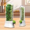 Refrigerator Detachable Compartment Herb Saver Box Vegetable Storage Container Mint and Cilantro Preservation Box