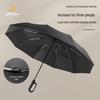 PALONY Extra-Large Fully Automatic Dual-Use Umbrella