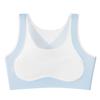 Seamless Shockproof Bra for Developing Girls: Anti-Hunchback and Anti-Indentation Sportswear for Junior and High School