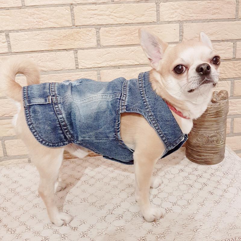 XS-2XL Denim Hundkläder Cowboy Husdjur Hundkappa Valpkläder För Små Hundar Jeansjacka Hundväst Kappa Valpdräkter Kattkläder