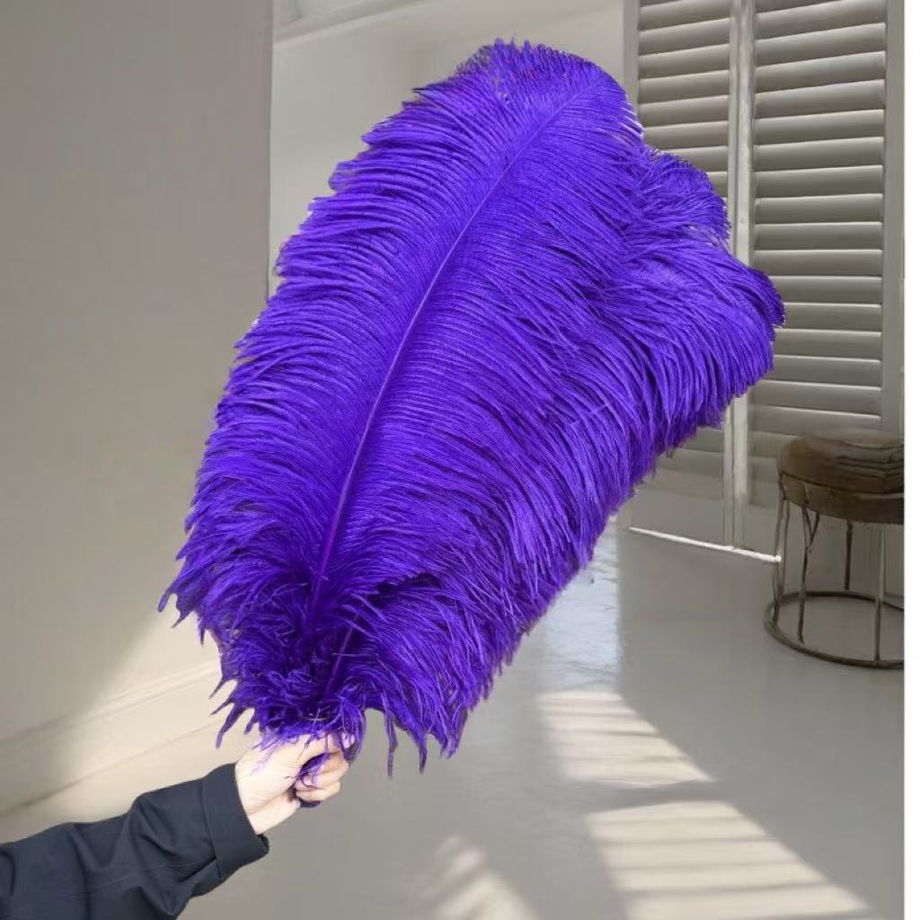1pcs Ostrich Hair 65-70Cm Photo Feather Wall Wedding Road Guide Decorative Props Colored Feathers
