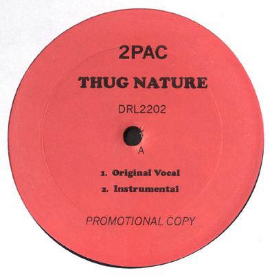 12inch Record 2PAC - Thug Nature / Wanted Dead Or Alive DRL2202 Death Row Recor 2000 US Rap & Hip-Hop/R&B Used