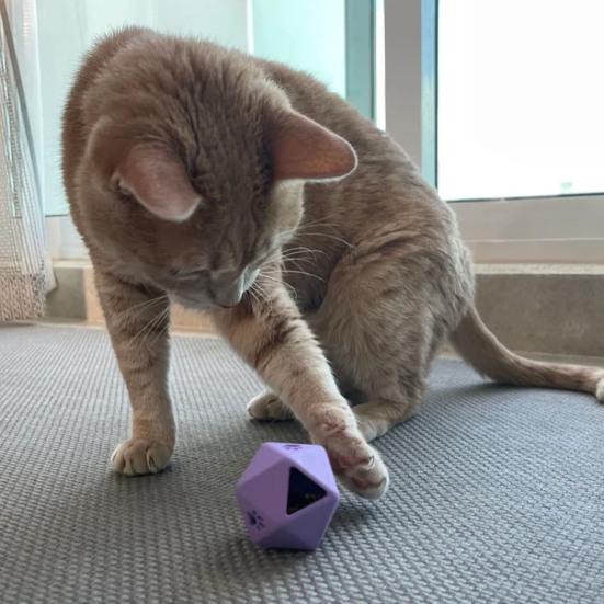 Katzen Leckerli-Spender Würfel Interaktives Futterspielzeug Polyedrischer Würfel Lustiger Leckerli-Spender Katzen Puzzle