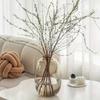 Minimalist Elegant Glass Vase - Perfect for Living Room Decor & Hydroponic Arrangements for Fresh Flowers