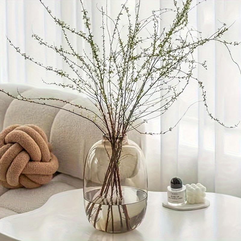 Minimalist Elegant Glass Vase - Perfect for Living Room Decor & Hydroponic Arrangements for Fresh Flowers