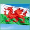 Welsh And Uk Flag Polyester Outdoor Indoor Garden Patriotic Banner For Home Decorations