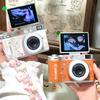 Ultra-Clear Flip Screen Retro Digital Camera - Entry-Level CCD for Students & Selfies