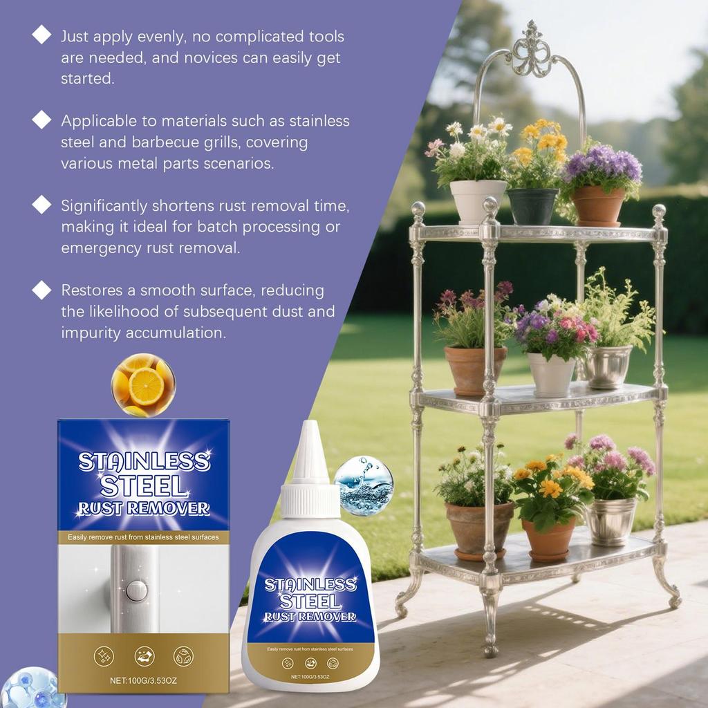 Stainless Steel Rust Remover 100g Stain Cleaner Rust Remover Cleaner For Kitchen Appliances Sinks Faucets Automotive Parts