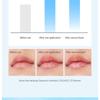 ROUND LAB - Birch Juice Moisturizing Lip Balm