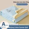 Xinjiang Cotton Summer Quilt: Lightweight, Machine-Washable, Thin Comforter for Dorms and Double Beds