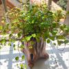 Creative Retro Cement-Look Tree Stump Succulent Planter