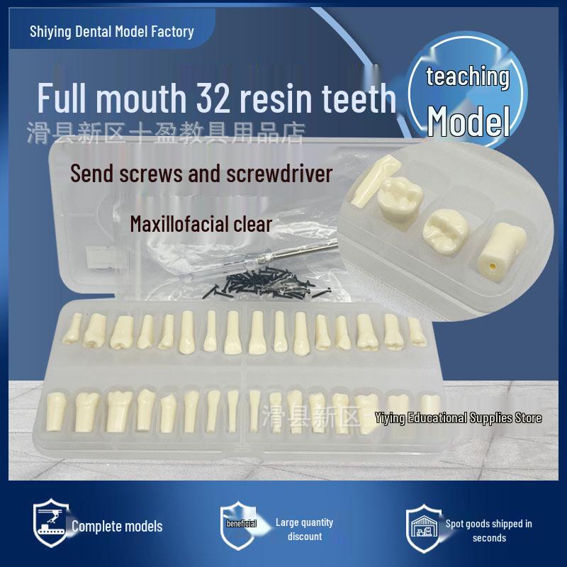 Dental Tooth Morphology Recognition Model with 32 Detachable Resin Teeth for Cavity Preparation Practice Resin