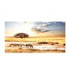Sunsets African Zebra Animal Landscape Posters and Prints Canvas Painting Cuadros Scandinavian Wall Art Picture for Living  Room