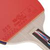 Dubbel Fisk Bordtennisracket Set med Bollar