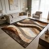 Modern Light Luxury Style Large Living Room Rugs Curve Art Decoration Home Machine Washable Carpet Bedroom Baby Crawling Mat
