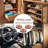 10 Stück Natürliche Zedernholzblöcke zur Kleideraufbewahrung Absorbierend Feuchtigkeitsbeständig Frisch duftendes Holz Schrankringe Heimdekoration