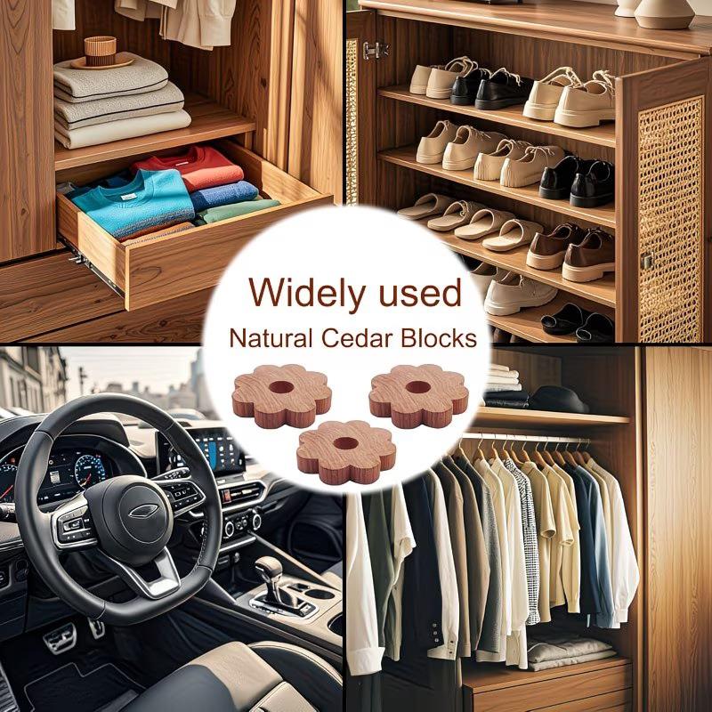 10 Stück Natürliche Zedernholzblöcke zur Kleideraufbewahrung Absorbierend Feuchtigkeitsbeständig Frisch duftendes Holz Schrankringe Heimdekoration