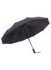 Rainy Day Men's Business Automatic Folding Umbrella Extra Large Double Reinforced Dual-Use Umbrella for Sun and Rain 70% off Customized Umbrella with